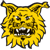 Ilves